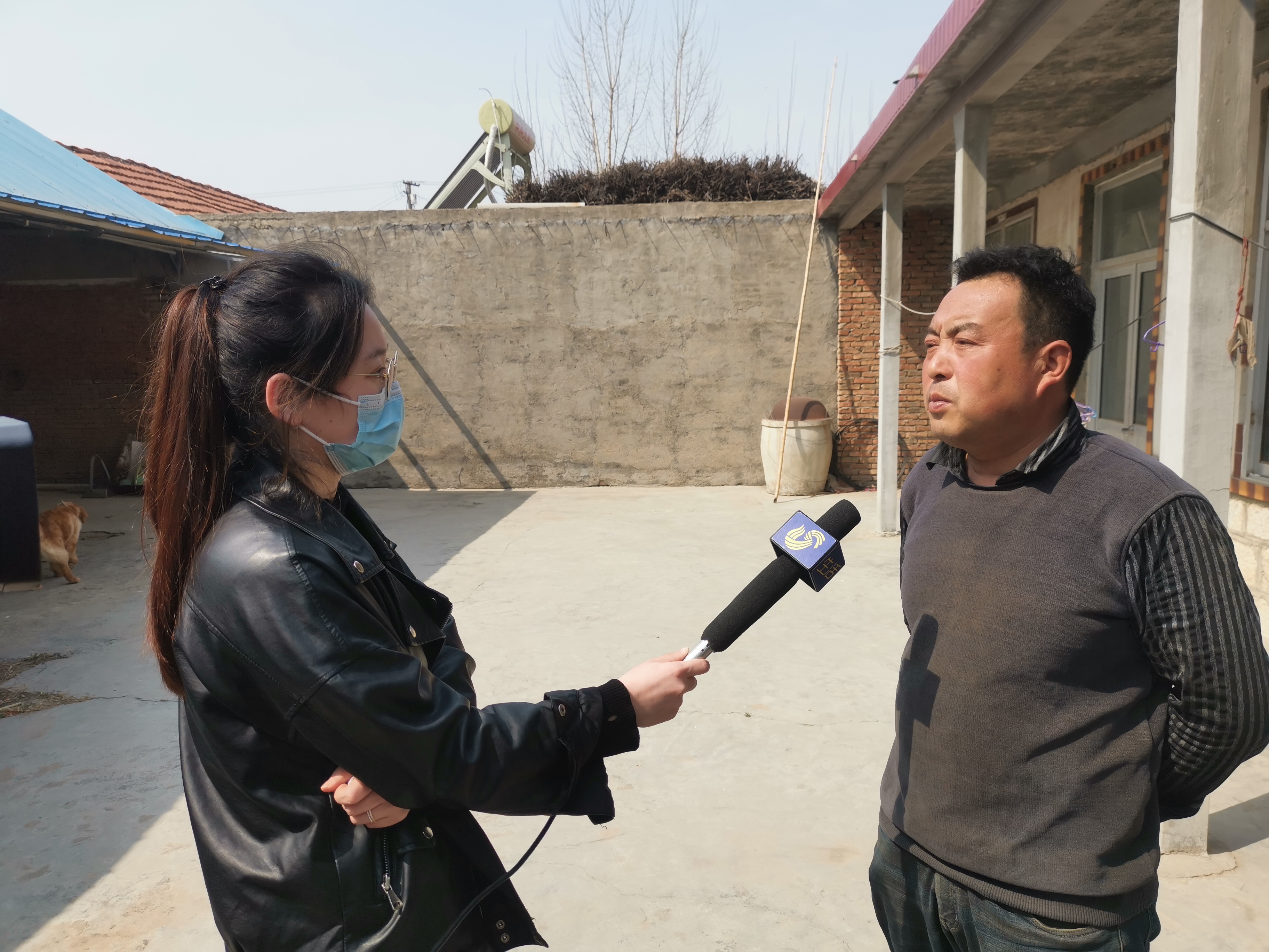 第209所 平度市崔家集镇状元府开元（中国）刘丽新小学