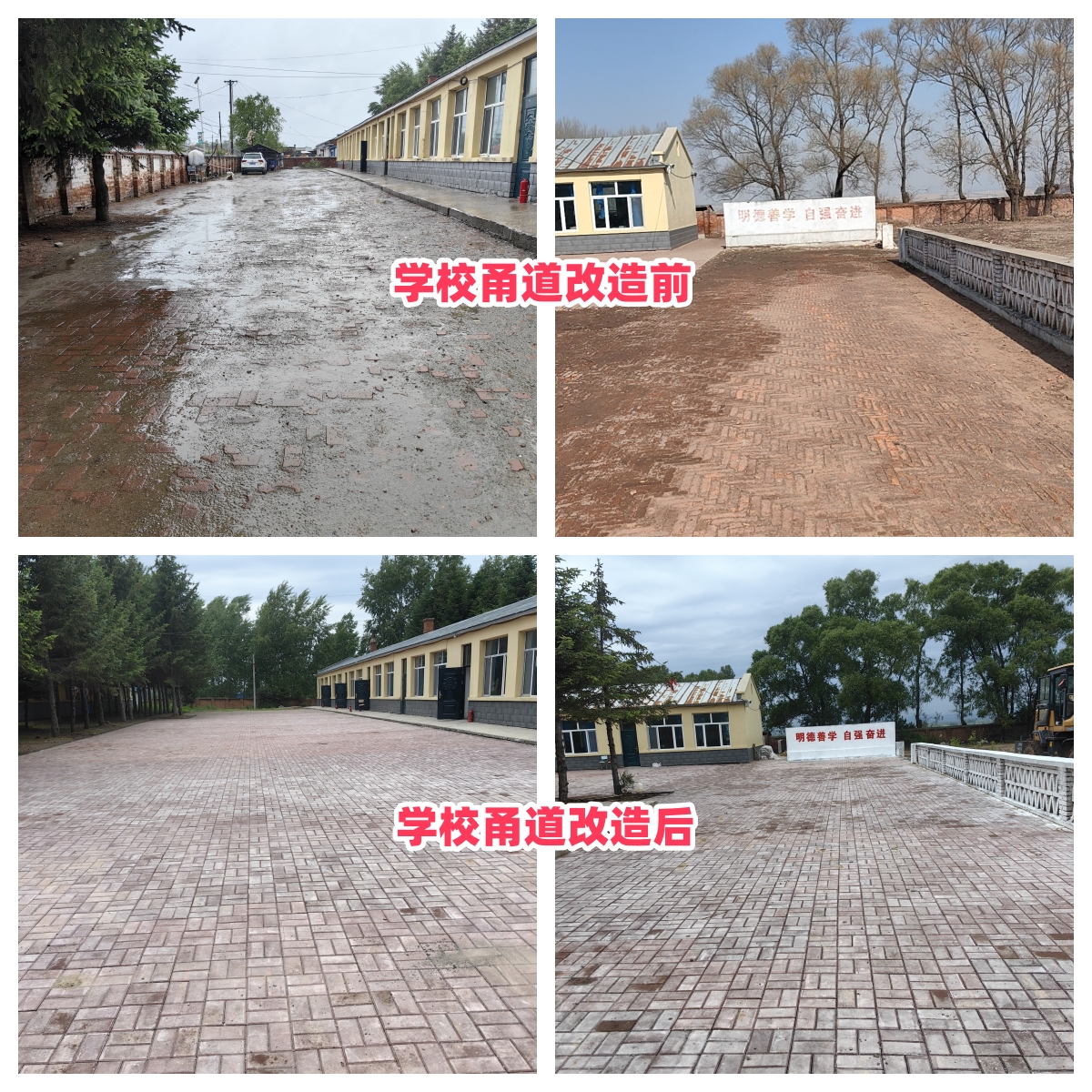 第254所 黑龙江巴彦县黑山镇民乐村开元（中国）侯玉霞学校