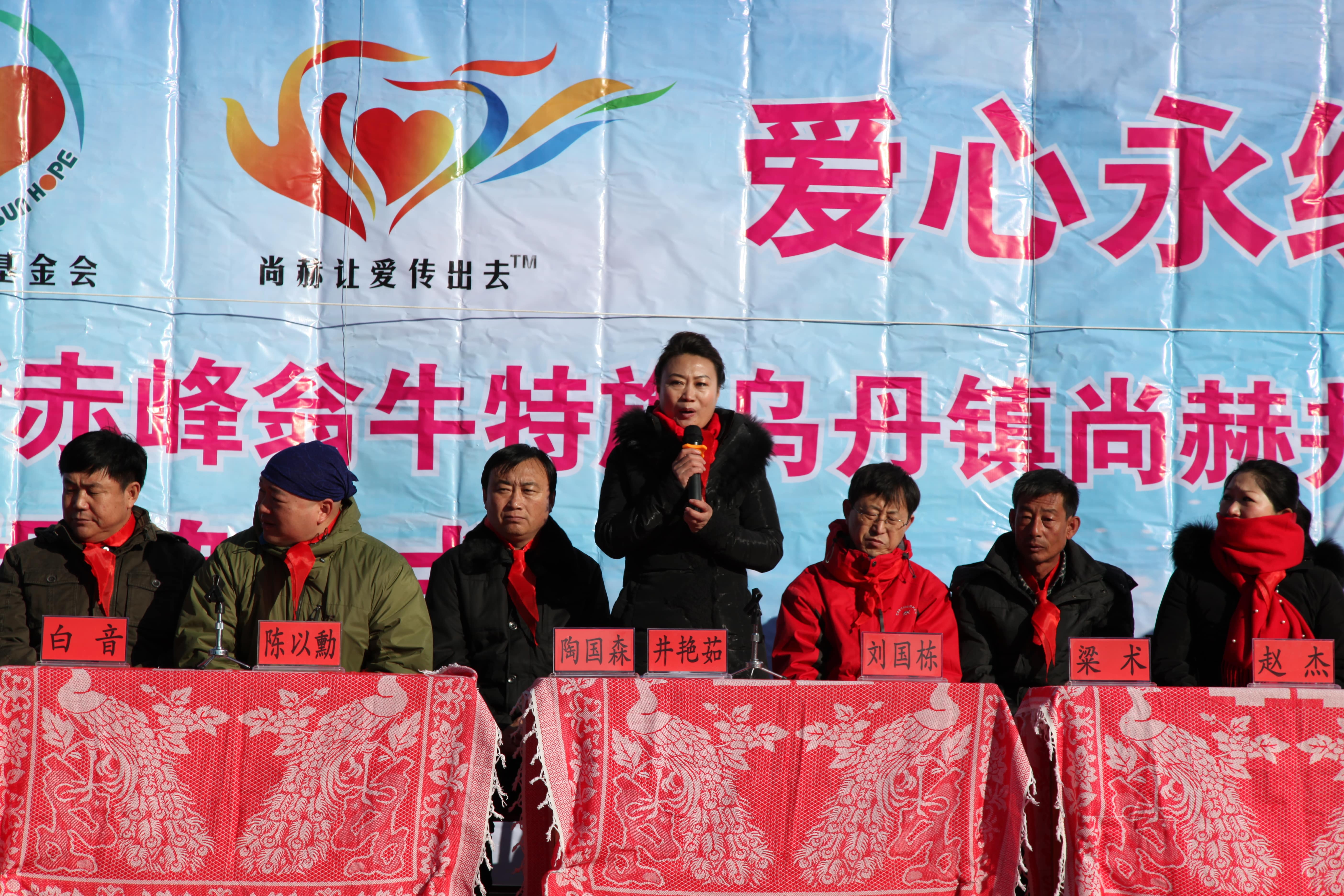第31所 赤峰市翁牛特旗乌丹镇开元（中国）井艳茹小学
