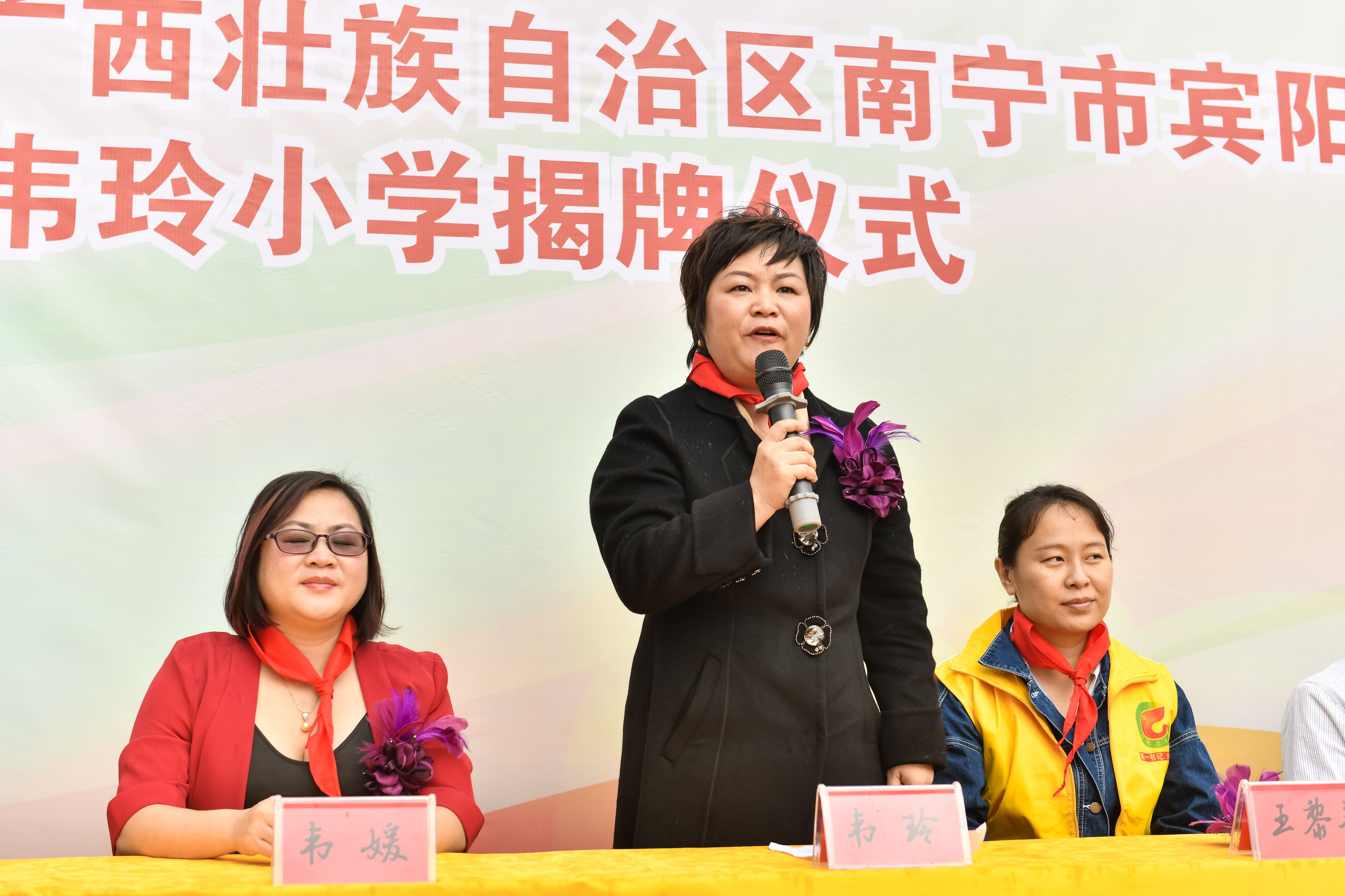 第184所  南宁市宾阳县思陇镇昆仑村开元（中国）韦玲小学
